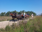 Picknick rit over de Eder Heide